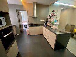 Parc Vista (D22), Condominium #462785471